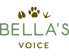 Bella's Voice