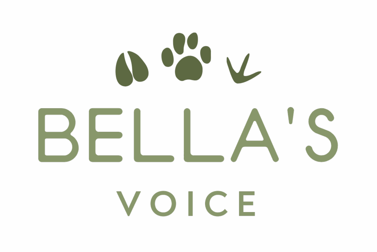 Bella's Voice Green Logo