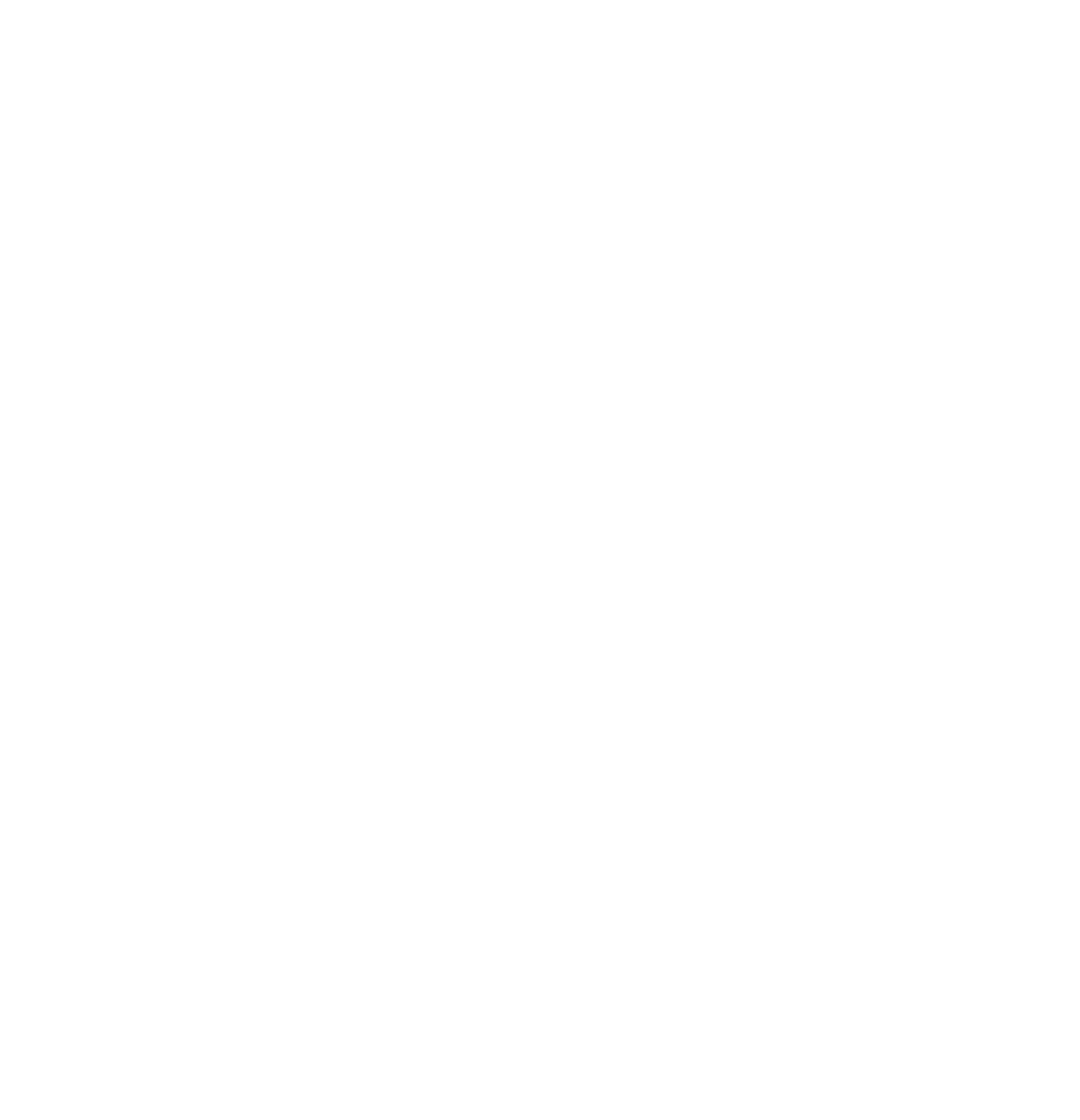 Misspits Rescue