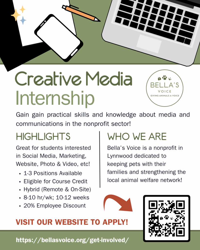 Creative Media Internship Flyer with information on how to apply or get involved.