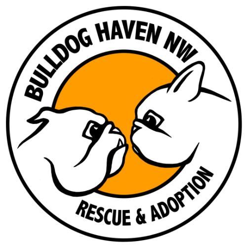 Bulldog Haven NW Logo